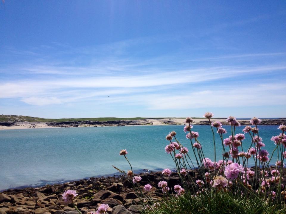 Dolphin Beach House Hotel Clifden Exterior foto